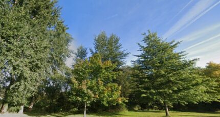 Chinon Terrain à bâtir - 2411891-9897annonce120260129ICF7T.jpeg Maisons France Confort