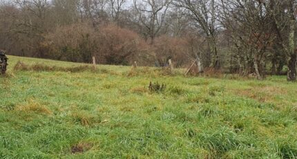 Salignac Maison neuve - 2424005-11015annonce120260210uuCCH.jpeg Maisons France Confort