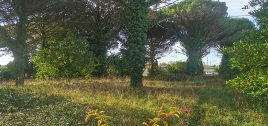 Terrain à bâtir à Langon, Nouvelle-Aquitaine