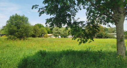 Roaillan Terrain à bâtir - 2450600-9573annonce120260309AdPiF.jpeg Maisons France Confort