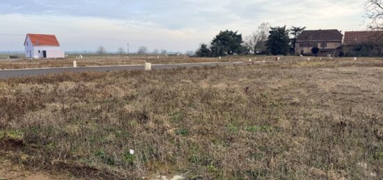 Terrain à bâtir à , Haut-Rhin