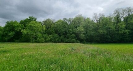 Wentzwiller Maison neuve - 2380504-11139annonce1202601051C7e1.jpeg Maisons France Confort