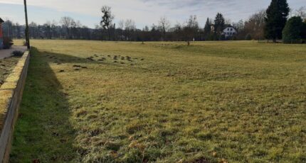 Balschwiller Terrain à bâtir - 2408465-11207annonce320260127iELkM.jpeg Maisons France Confort