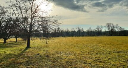 Balschwiller Terrain à bâtir - 2408407-11207annonce120260127TTmGr.jpeg Maisons France Confort