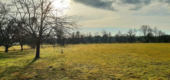 Terrain à bâtir à Balschwiller, Grand Est