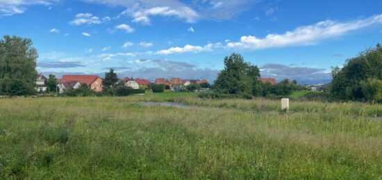 Terrain à bâtir à Dannemarie, Grand Est