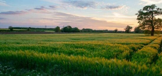 Terrain à bâtir à Tain-l'Hermitage, Auvergne-Rhône-Alpes