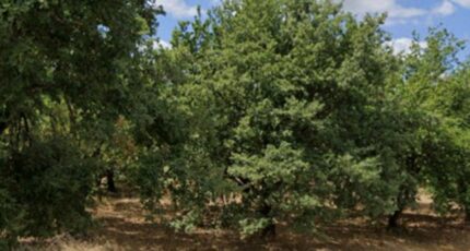 Margès Terrain à bâtir - 2354214-11248annonce120251202xBALA.jpeg Maisons France Confort