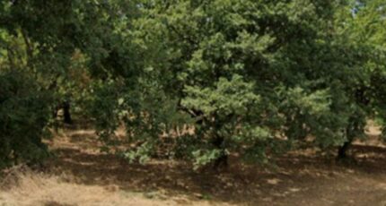 Margès Terrain à bâtir - 2354214-11248annonce220251202XuudC.jpeg Maisons France Confort