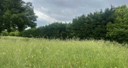 Loriol-sur-Drôme Terrain à bâtir - 2359031-812annonce220250725p2h29.jpeg Maisons France Confort