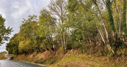 Sansac-de-Marmiesse Terrain à bâtir - 2450710-6000annonce3202412029DhdC.jpeg Maisons France Confort