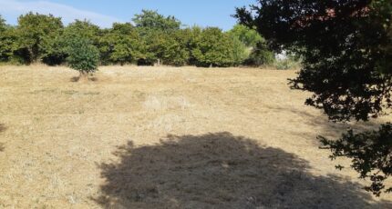 Matha Maison neuve - 2450712-1046annonce1202507091ECXy.jpeg Maisons France Confort