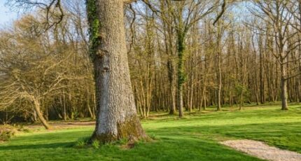 Gourdon Terrain à bâtir - 2450840-11302annonce120260309CyC8z.jpeg Maisons France Confort