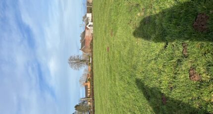 Vieux-Reng Terrain à bâtir - 2449667-11021annonce120260306TCTI6.jpeg Maisons France Confort