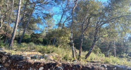 Rocbaron Terrain à bâtir - 2446942-5922annonce2202603040X3su.jpeg Maisons France Confort