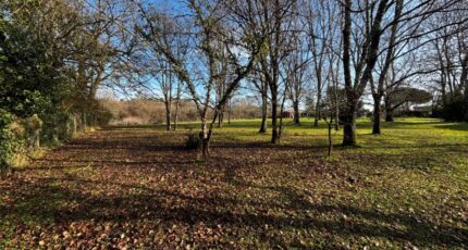 La Lande-de-Fronsac Terrain à bâtir - 2405506-11383annonce120260126ldxAF.jpeg Maisons France Confort