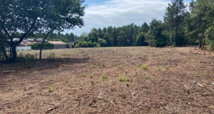 Pontenx-les-Forges Maison neuve - 2451196-10481annonce120241209ycOZC.jpeg Maisons France Confort