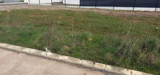 Terrain à bâtir à Angles, Pays de la Loire