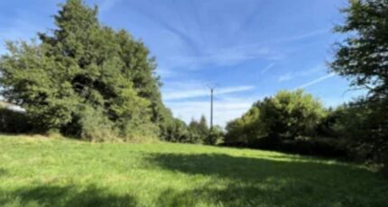 Féchain Terrain à bâtir - 2382893-10617annonce120260106eJk5T.jpeg Maisons France Confort