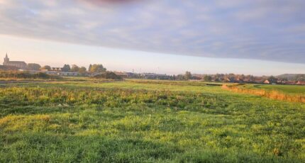 Montigny-en-Ostrevent Terrain à bâtir - 2417075-11632annonce220260203xzrTA.jpeg Maisons France Confort