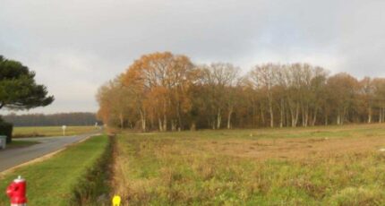 Gretz-Armainvilliers Terrain à bâtir - 2389508-4353annonce220260112ztWGn.jpeg Maisons France Confort