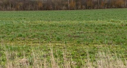 Doudeauville Terrain à bâtir - 2449633-11072annonce120260306hSU6g.jpeg Maisons France Confort