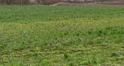 Frencq Terrain à bâtir - 2449650-11072annonce120260306vcLx0.jpeg Maisons France Confort