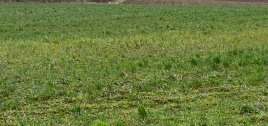 Terrain à bâtir à Frencq, Hauts-de-France