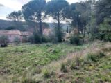 Terrain à bâtir à Le Val (83143) 2451261-11137annonce420260309Dpfc4.jpeg Maisons France Confort