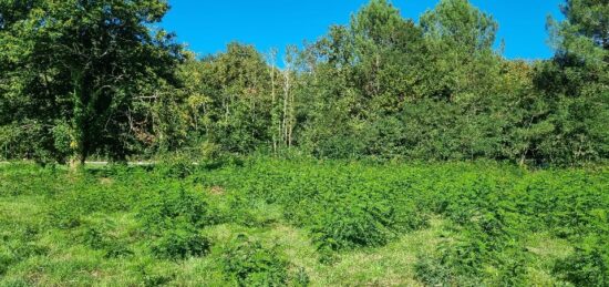 Terrain à bâtir à Saint-Aubin-de-Médoc, Nouvelle-Aquitaine