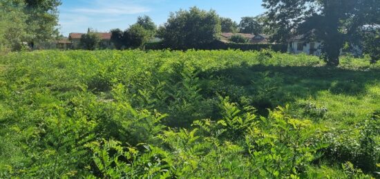 Terrain à bâtir à , Gironde