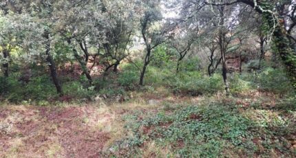 Sainte-Anastasie-sur-Issole Terrain à bâtir - 2451396-11137annonce220260309zWOT9.jpeg Maisons France Confort