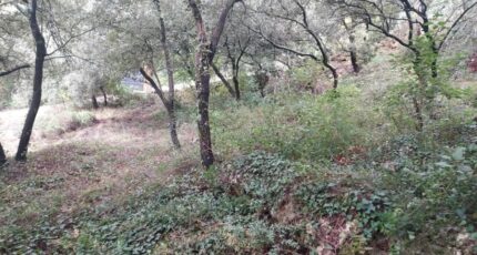 Sainte-Anastasie-sur-Issole Terrain à bâtir - 2451396-11137annonce3202603094ze1D.jpeg Maisons France Confort