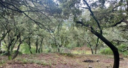 Sainte-Anastasie-sur-Issole Maison neuve - 2451406-11137annonce120260309AiyXa.jpeg Maisons France Confort