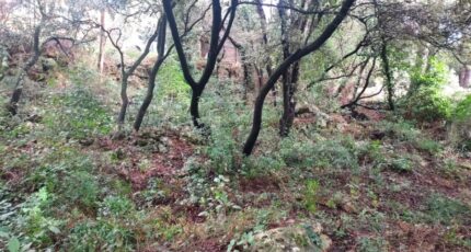 Sainte-Anastasie-sur-Issole Maison neuve - 2451406-11137annonce420260309JfvF2.jpeg Maisons France Confort