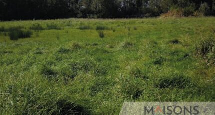 Buire-le-Sec Maison neuve - 2355507-10209annonce120251203KDcJk.jpeg Maisons France Confort