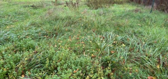 Terrain à bâtir à Lacanau, Nouvelle-Aquitaine