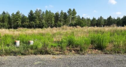 Ardenay-sur-Mérize Terrain à bâtir - 2451380-6170annonce220260309uEwpG.jpeg Maisons France Confort