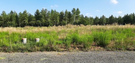 Terrain à bâtir à , Sarthe