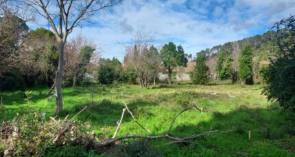 Carnoules Terrain à bâtir - 2451806-11137annonce320260310UrOOf.jpeg Maisons France Confort