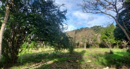 Carnoules Terrain à bâtir - 2451806-11137annonce420260310Xg9AR.jpeg Maisons France Confort