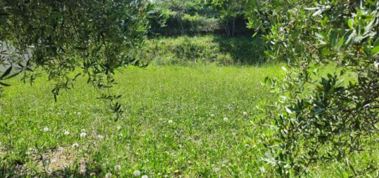 Terrain à bâtir à Brignoles, Provence-Alpes-Côte d'Azur