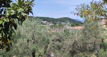 Cuers Maison neuve - 2399602-11039annonce3202601209EbTp.jpeg Maisons France Confort