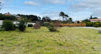 Garéoult Terrain à bâtir - 2452270-4866annonce220260310nHt5p.jpeg Maisons France Confort