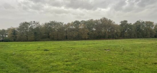 Terrain à bâtir à Boisredon, Nouvelle-Aquitaine