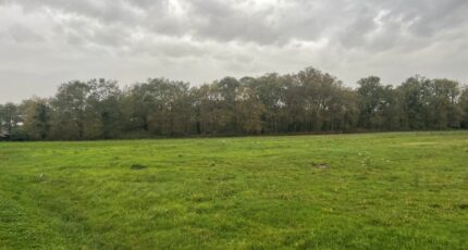 Boisredon Maison neuve - 2452465-11252annonce1202603107BDQJ.jpeg Maisons France Confort