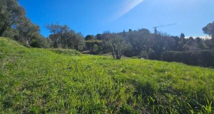 Grasse Terrain à bâtir - 2452534-11719annonce120260310TJdWK.jpeg Maisons France Confort
