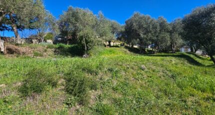 Grasse Terrain à bâtir - 2452534-11719annonce220260310tVphk.jpeg Maisons France Confort