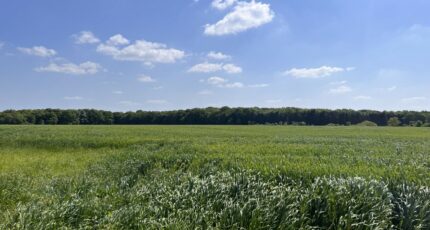 Les Ventes Terrain à bâtir - 2413055-11732annonce120260130zGWZC.jpeg Maisons France Confort