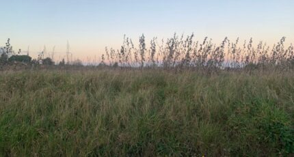 La Sauvetat-du-Dropt Maison neuve - 2449532-9795annonce220250315ObU9i.jpeg Maisons France Confort